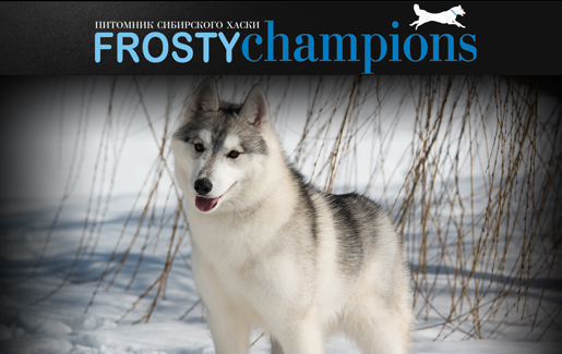 frosti-SHAMPIONS.RU